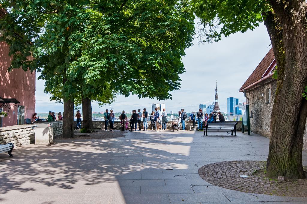 Old Town Central Apartment Tallinn Ngoại thất bức ảnh